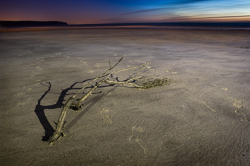 Driftwood
