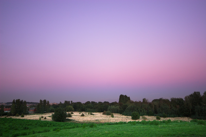 Scrubland #1