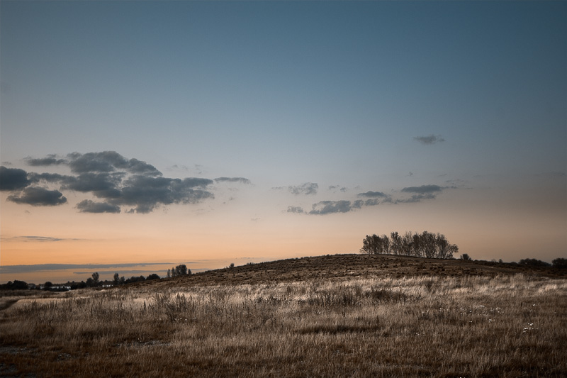 Scrubland #2