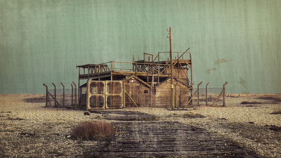 Dungeness #4