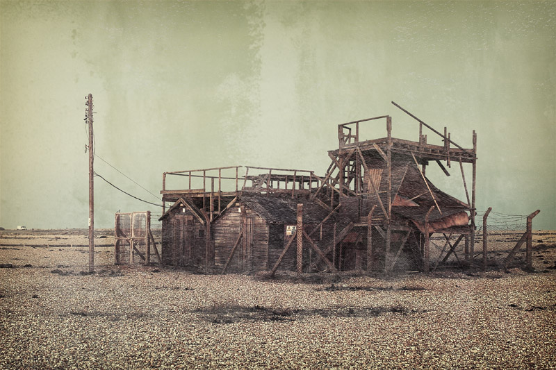 Dungeness #5