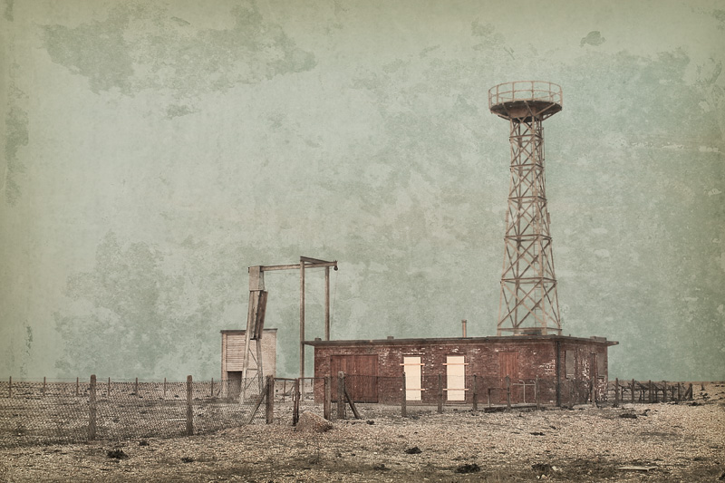 Dungeness #6