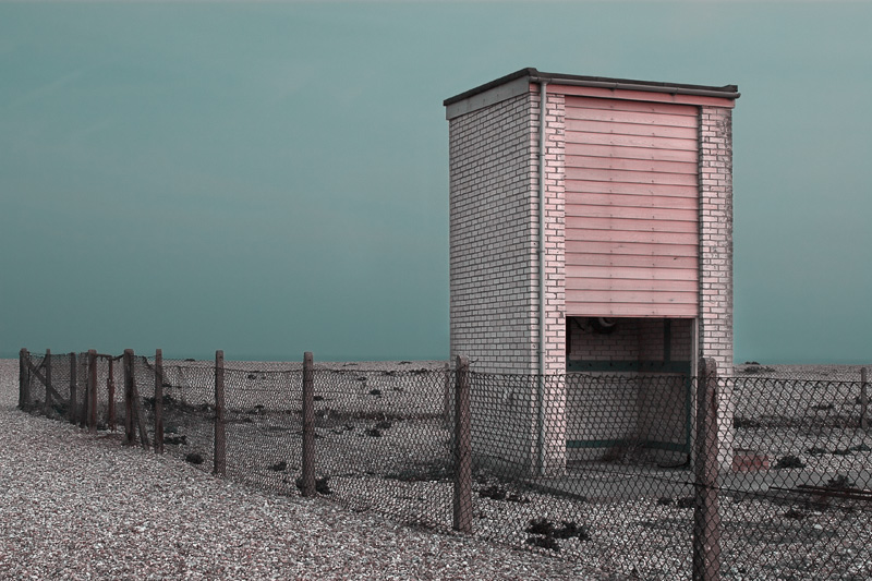 Dungeness #7