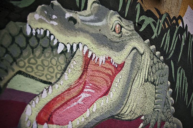 Pleased to Meet You