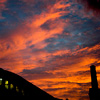Shepherd's Delight